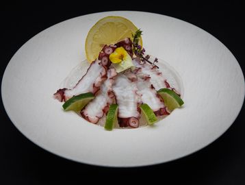 Octopus / Tako