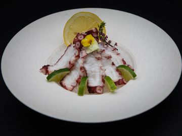 Octopus / Tako