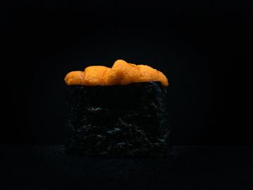 Sea Urchin / Uni