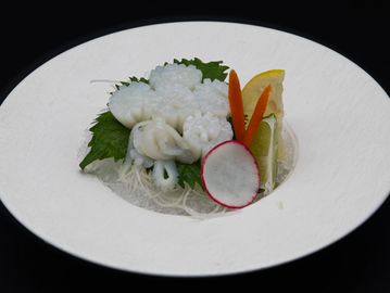 Squid / Ika *