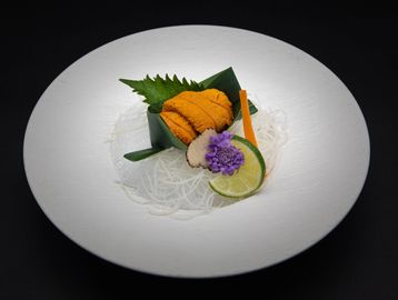 Sea Urchin / Uni
