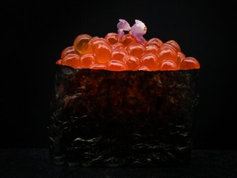 Salmon Roe / Ikura