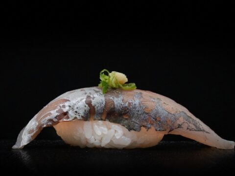 Horse Mackerel / Aji