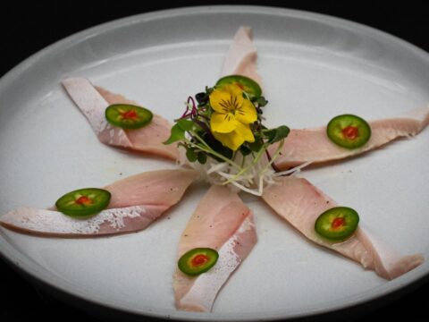 Yellowtail Jalapeno Usuzukuri