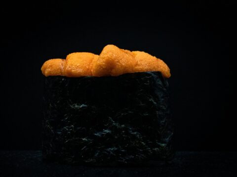 Sea Urchin / Uni