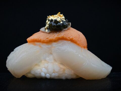 Scallop-Uni