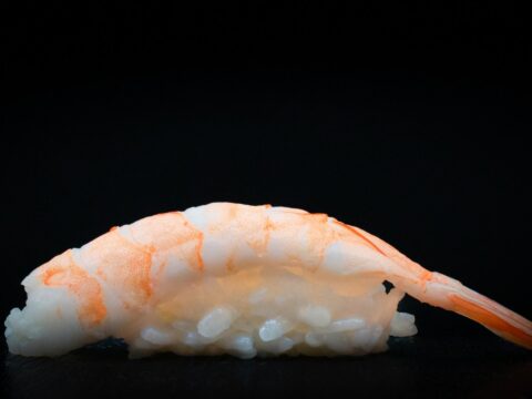 Shrimp / Ebi