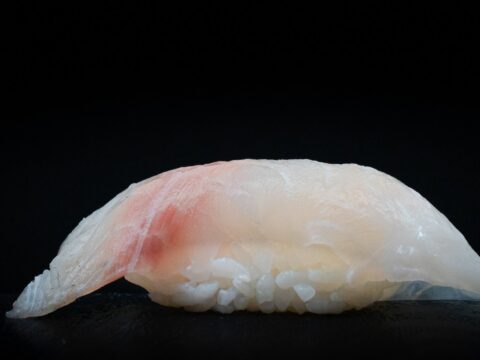 Black Snapper / Kurodai