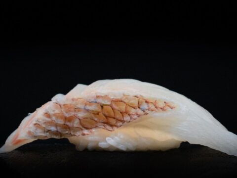Red Snapper / Tai